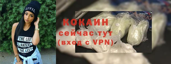 шишки Ветлуга