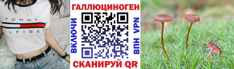 Псилоцибиновые грибы Psilocybine cubensis  ОМГ ОМГ ТОР  Уфа 