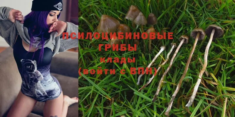 Галлюциногенные грибы Cubensis  Уфа 