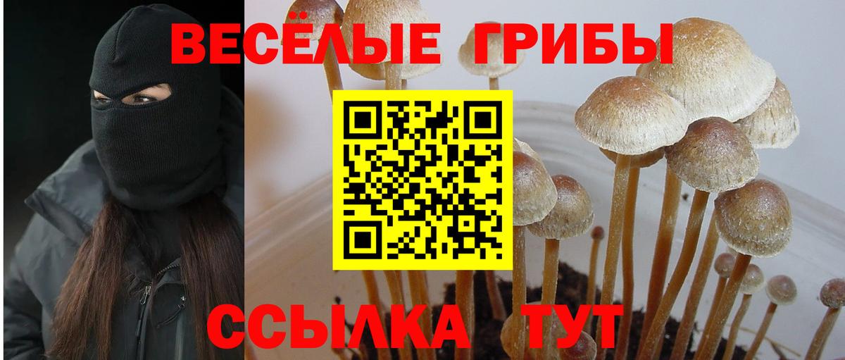 Псилоцибиновые грибы мицелий Уфа