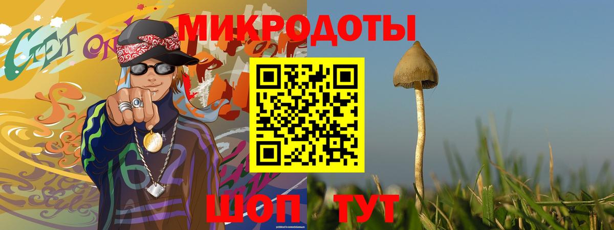 Псилоцибиновые грибы Psilocybe  Галлюциногенные грибы Psilocybine cubensis  Уфа 